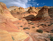 Coyote Buttes, Arizona Photograph by Adam Jones Coyote Buttes, Arizona Photograph by Adam Jones