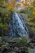 Crabtree-14 Photograph by Joye Ardyn Durham