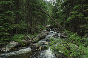 Crazy Woman Canyon Photograph by Greni Graph Crazy Woman Canyon Photograph by Greni Graph