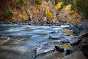 Creek Morning Photograph by Michael Brungardt