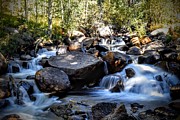 Creeky Steps Photograph by Michael Brungardt