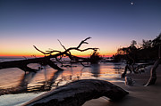 Crescent Moon Over Boneyard Beach, Blackrock Trail, Big Talbot Island Photograph by Dawna Moore Photography