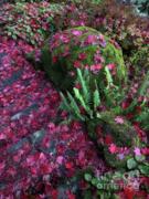 Crimson Autumn  Photograph by Charlene Mitchell