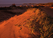 Crimson Dunes Photograph by Doug Gibbons Crimson Dunes Photograph by Doug Gibbons