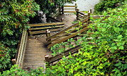 Crooked Stairs Photograph by Ed Clark Crooked Stairs Photograph by Ed Clark