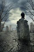 Crow on the tombstone. Halloween design. Digital Art by Jelena Jovanovic