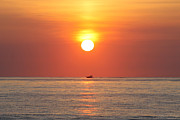 Cruising On The Sunshine Photograph by Robert Banach