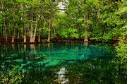 Crystal Blue Manatee Spring Waters Photograph by Adam Jewell Crystal Blue Manatee Spring Waters Photograph by Adam Jewell