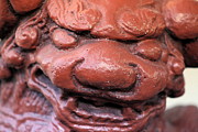 Currant Red Japanese Foo Dog Photograph by Colleen Cornelius Currant Red Japanese Foo Dog Photograph by Colleen Cornelius