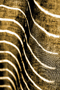Curves and Folds Photograph by Todd Blanchard