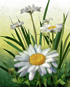 Daisies Digital Art by Lois Bryan