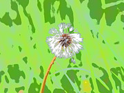 Dandelion on Green Photograph by Mark Egerton