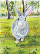 Darla the Bunny Painting by Clara Sue Beym Darla the Bunny Painting by Clara Sue Beym