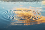 Dawn Light Ripple Photograph by Tim Gainey