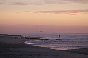 Dawns Purple Hues Photograph by Robert Banach