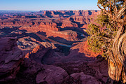Dead Horse Point Sunrise - Utah Photograph by Gary Whitton