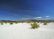 Death Valley Dreams Photograph by Joe Schofield