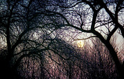 December Moon Photograph by Mimulux Patricia No