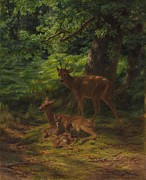 Deer in Repose Painting by Rosa Bonheur