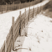 Delaware Dunes Number Eight  Photograph by Bob Coates