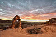 Delicate at Sunset Photograph by Jon Glaser