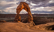 Delicate Glow Photograph by Ryan Smith