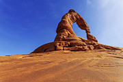 Delicate Perspective Photograph by Chad Dutson