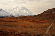 Denali And Tundra In Autumn Photograph by Steve Wolfe