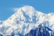 Denali From Denali Viewpoint South Photograph by Steve Wolfe
