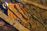 Deregulation Photograph by Mike Smale