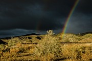 Desert double rainbow Photograph by Gaelyn Olmsted