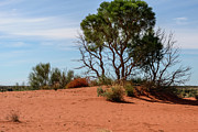 Desert Landscape 01 Photograph by Werner Padarin Desert Landscape 01 Photograph by Werner Padarin