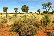 Desert Landscape 03 Photograph by Werner Padarin Desert Landscape 03 Photograph by Werner Padarin