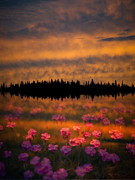 Destiny Photograph by Doug Gibbons