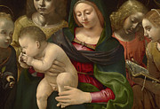 Detail of Virgin and Child with the Young Saint John the Baptist, Saint Cecilia, and Angels Painting by Piero di Cosimo