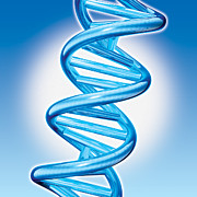 DNA Double Helix Digital Art by Marc Phares and Photo Researchers