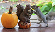 Do you want to share? Photograph by Trina Ansel