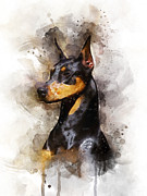 Doberman Digital Art by Aged Pixel