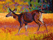 Doe III Painting by Marion Rose