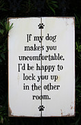 Dog Smart Photograph by Juergen Roth Dog Smart Photograph by Juergen Roth