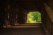 Dog Walking Photograph by Kristopher Schoenleber
