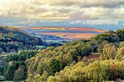Douthwaite Dale Photograph by Mark Egerton