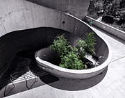 Down Photograph by Nisah Cheatham