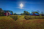 Down on the Farm Photograph by Pete Federico Down on the Farm Photograph by Pete Federico