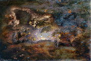 Dragon Watches.... Photograph by Paul Vitko
