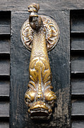 Dragon Door Knocker Photograph by Dawna Moore Photography