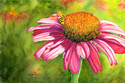 Drawn In Painting by Lori Taylor
