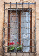 Dreaming of Tuscany Painting by David Letts