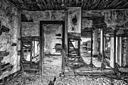 Dreams of the Past Photograph by Darren White