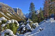 Dreamy Photograph by Mark Whitt